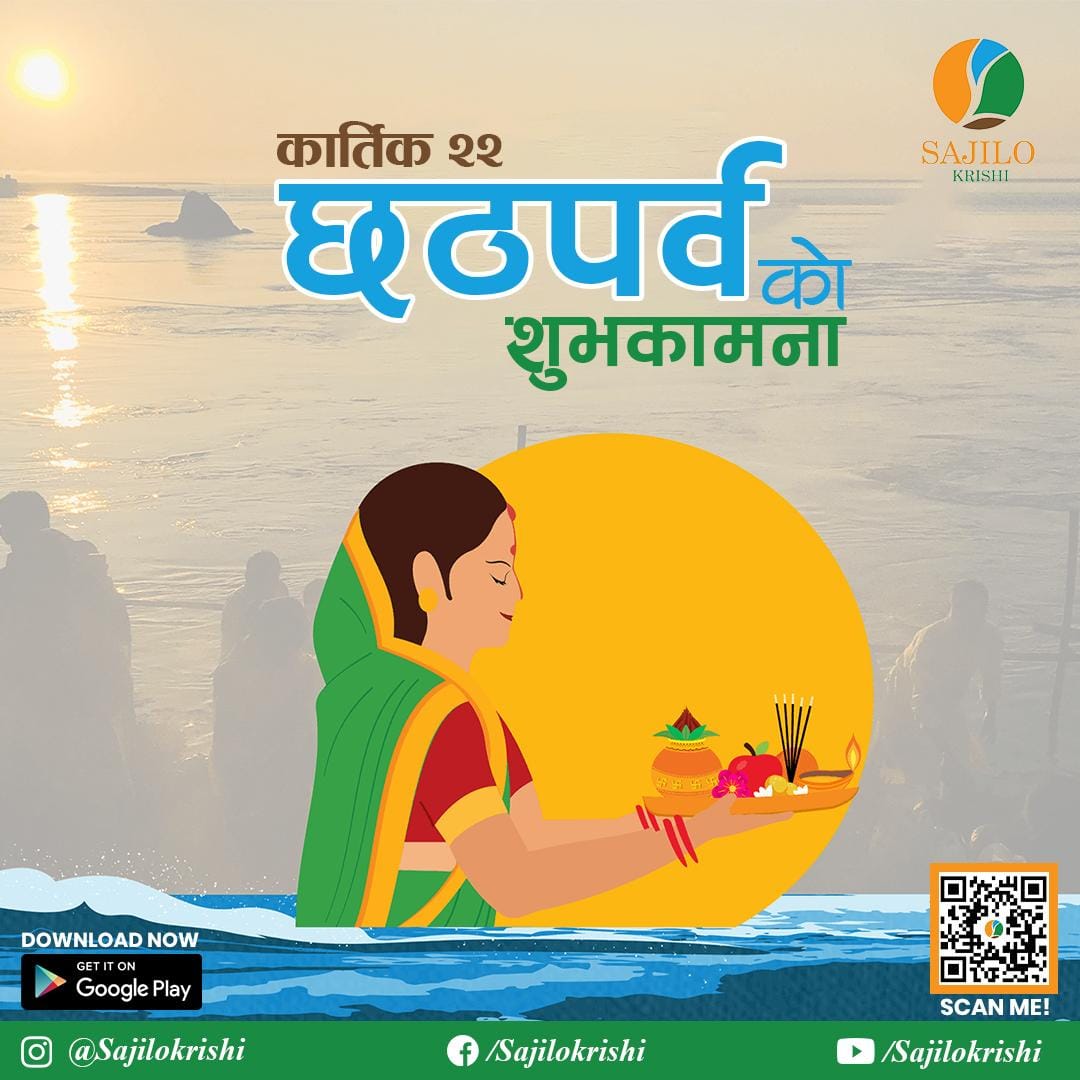 Festival Social Media Graphics